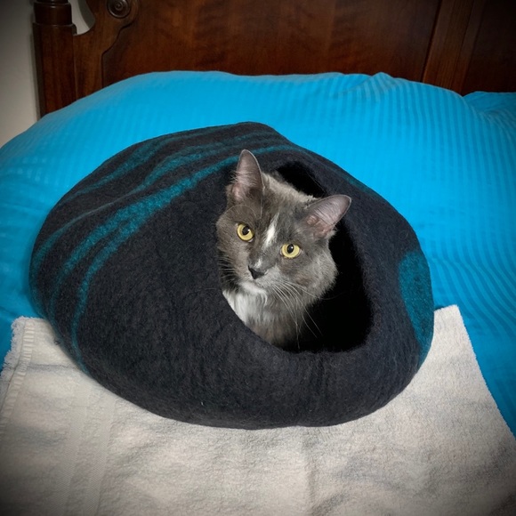 Meet your Posher, Cassie - Picture 5 of 8